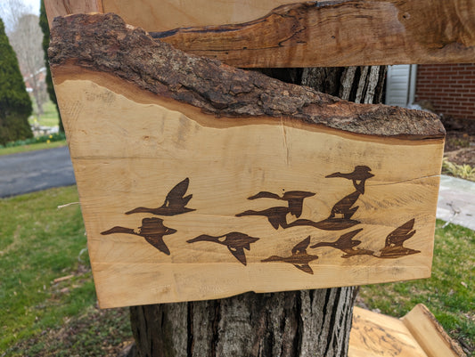 Geese in flight on spalted maple